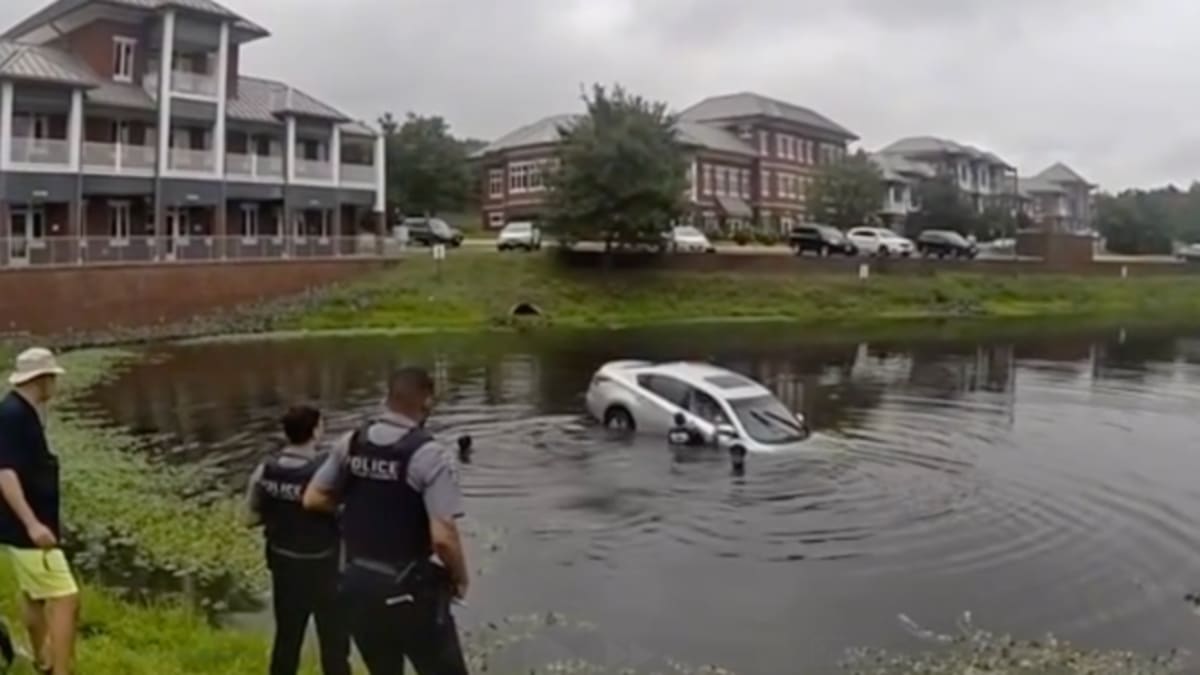 Human Chain Saves Driver From Sinking Virginia Car - Image 4