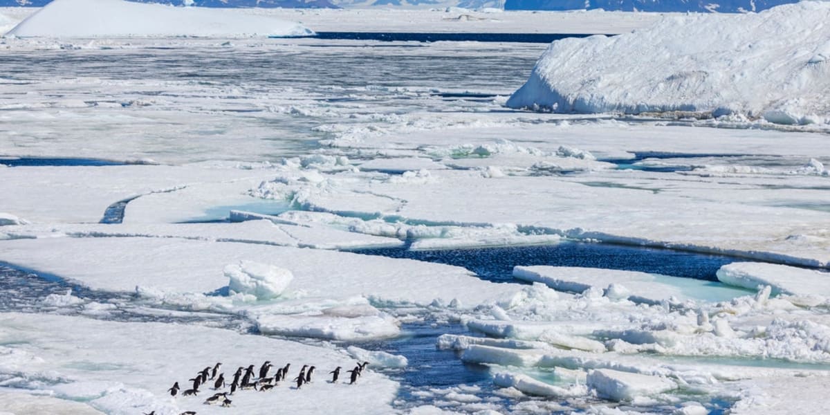 Antarctica Is Earth's Largest Desert With Zero Sand