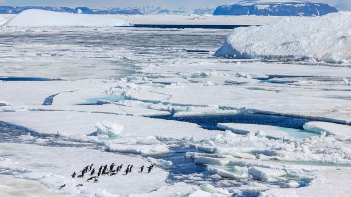 Antarctica Is Earth's Largest Desert With Zero Sand - Image 2