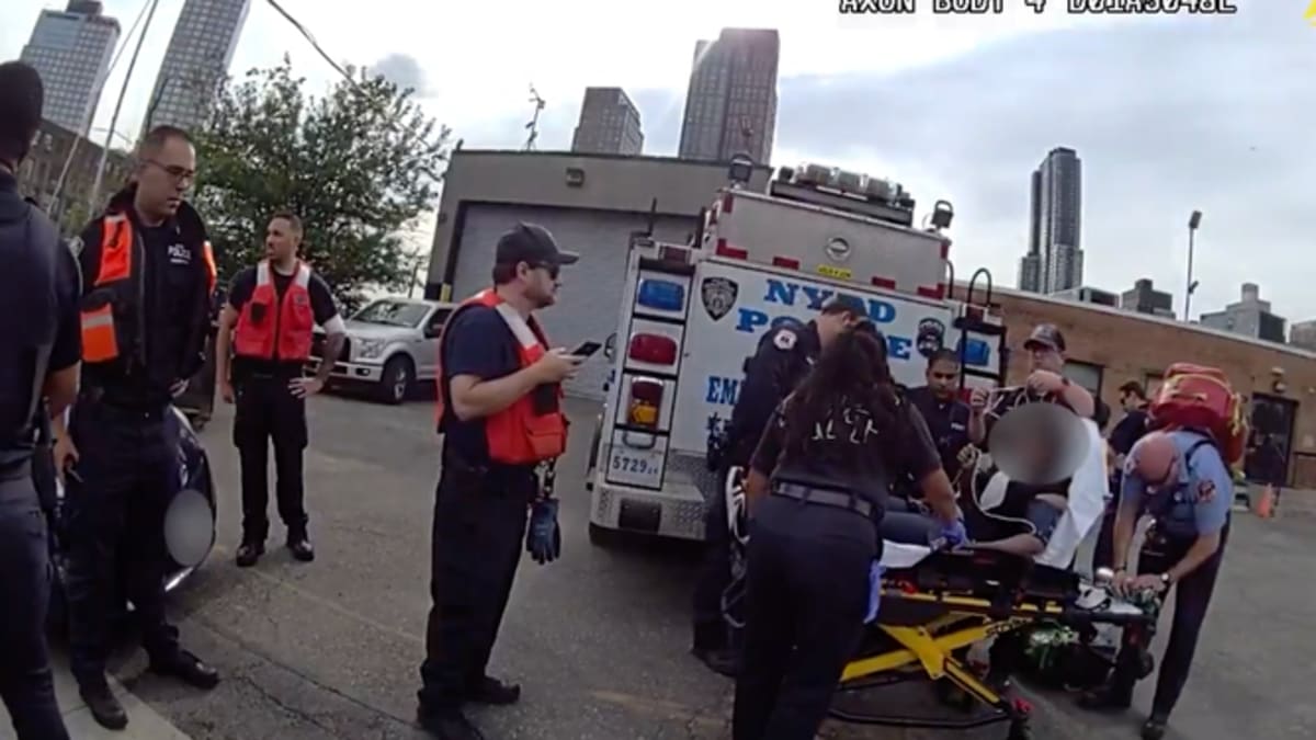 NYPD Officer Dives Into Queens Creek to Save Drowning Woman - Image 4