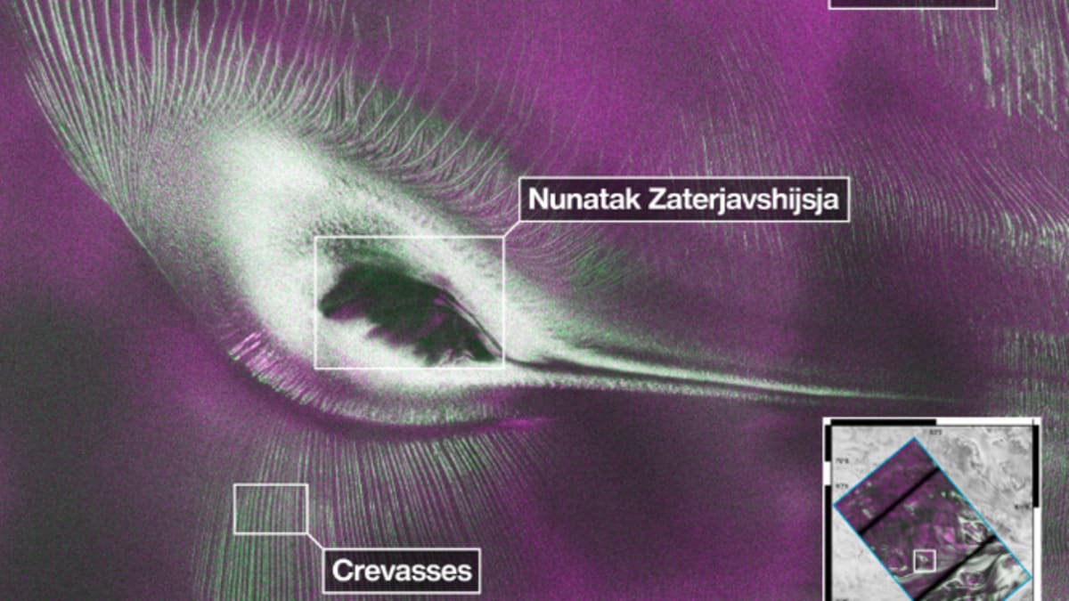 NASA Satellite Reveals Hummingbird Hidden in Antarctica - Image 3