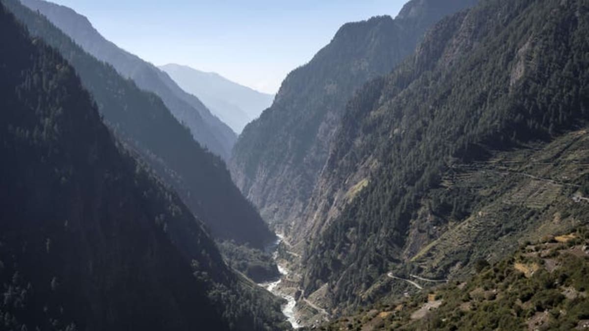 New Happy-Face Spider Species Found in Indian Himalayas - Image 2