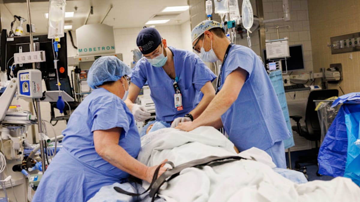Medical team preparing genetically engineered pig kidney for transplant surgery at Massachusetts General Hospital