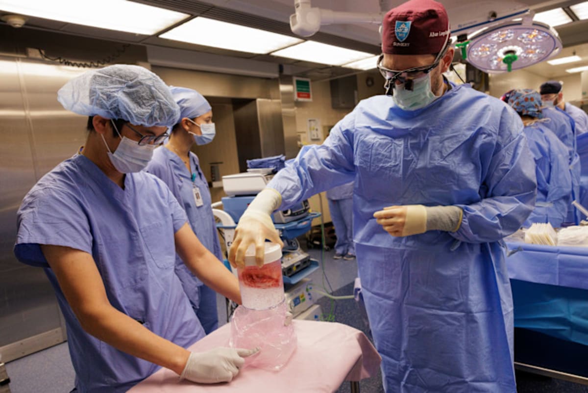Pig Kidney Transplants Working in 5 Patients for 8+ Months - Image 3