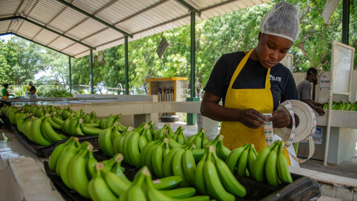 Sweden's Green Steel Industry Gets $1.5B Lifeline - Image 4