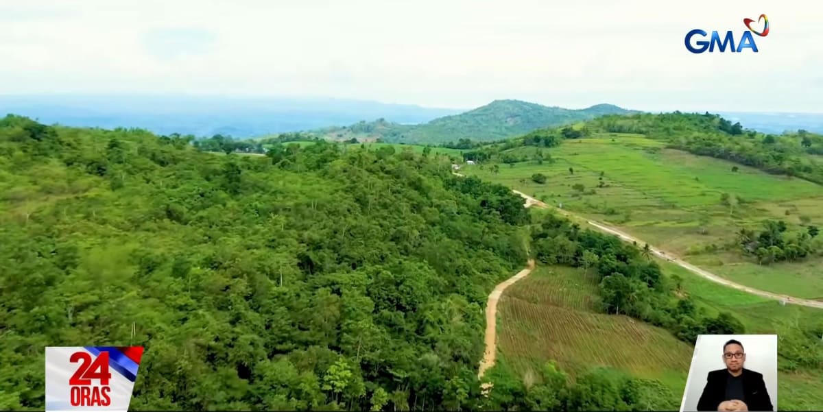 Bare Philippine Mountain Now Thrives With 40,000 Trees