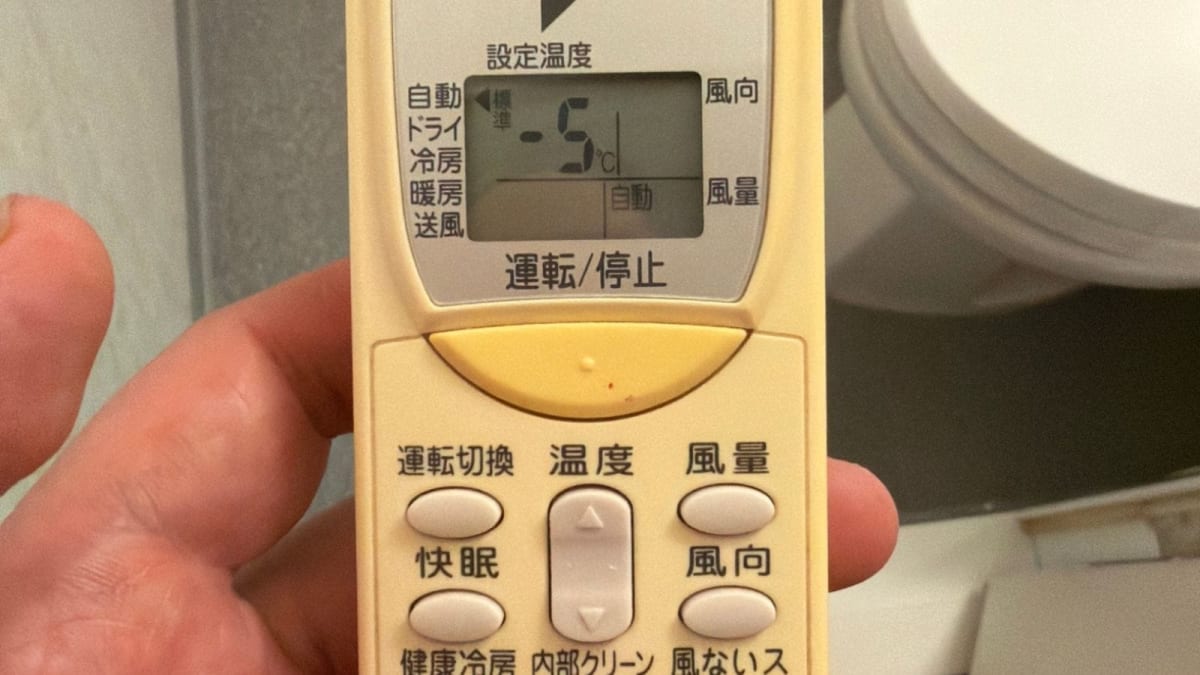 Tourist Uses AI to Crack Japanese AC Remote at 4am