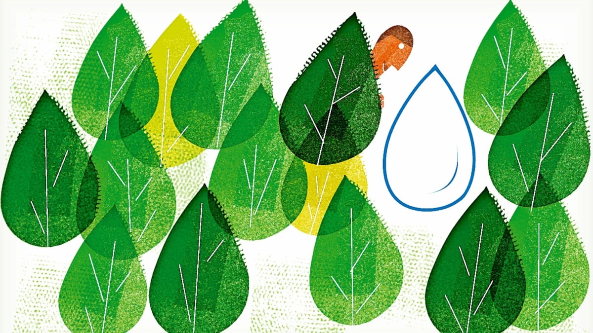 India's Bold New Plan Could Save 29B Cubic Meters of Water