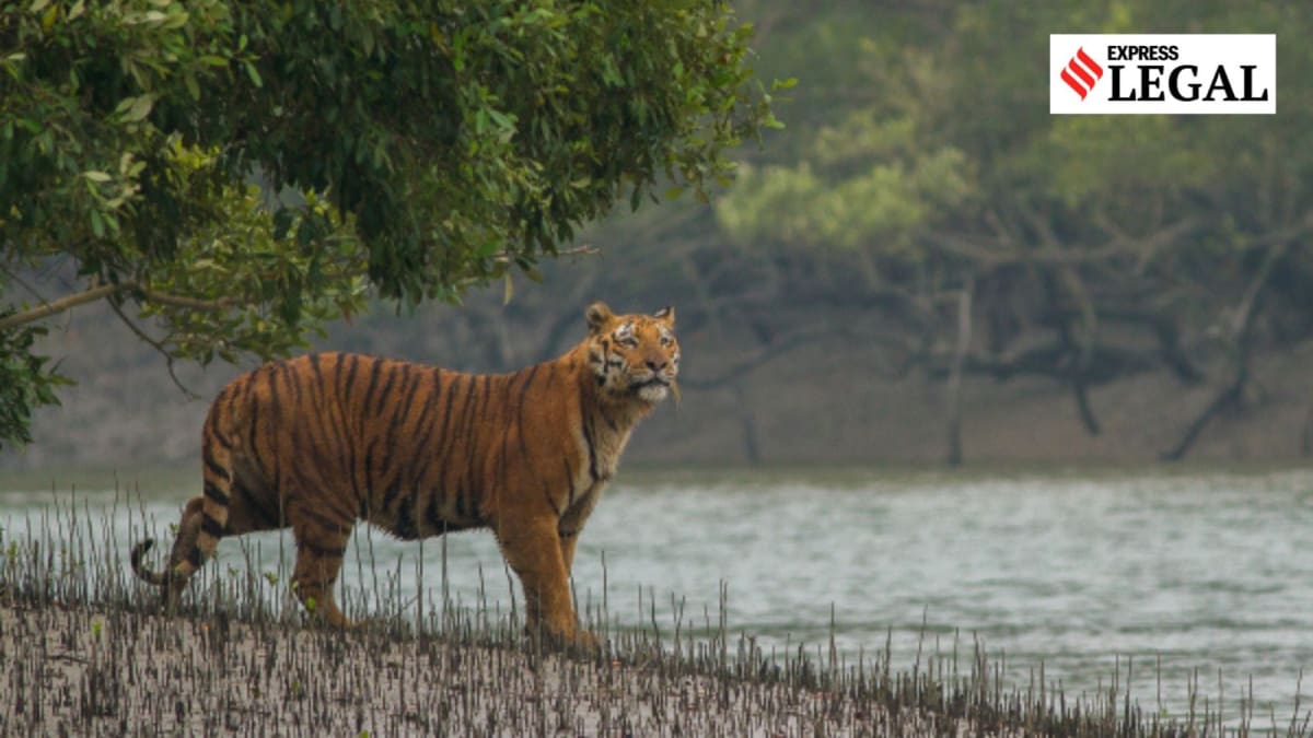 Teacher in Remote India School Gets Job After 30 Years