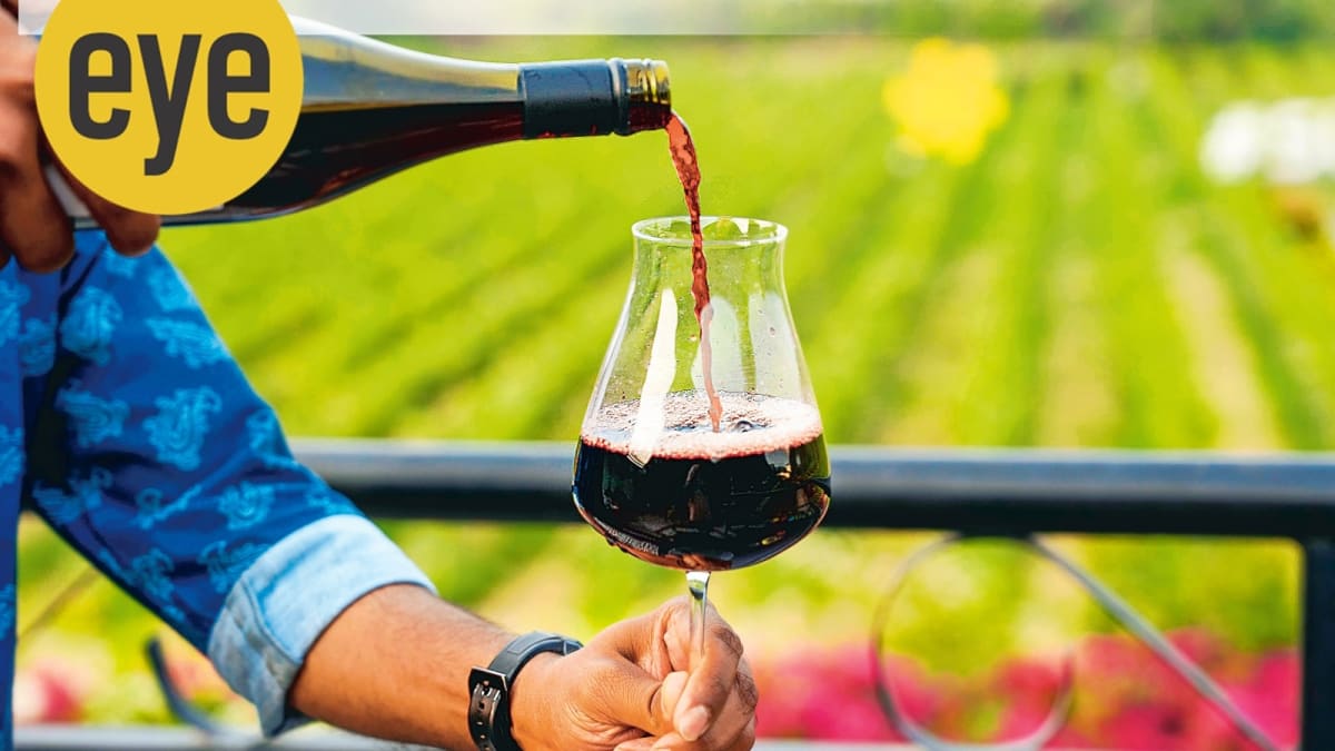 ** Sunlit vineyard rows stretching across rolling hills with visitors at outdoor wine tasting