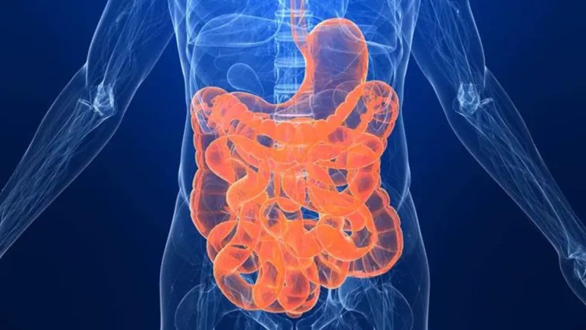 Gut Health Treatment Shows Promise for Kids with Autism