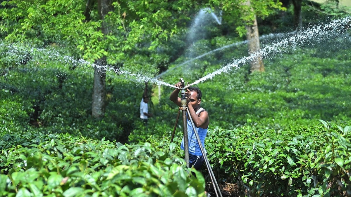 ** Large rotating metal irrigation arm with sprinklers watering circular farmland in Punjab