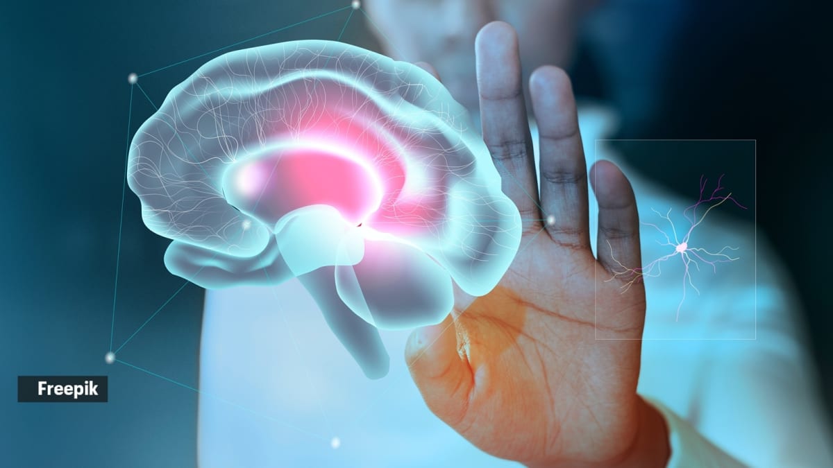 Brain Protein Discovery Could Slow Aging in Humans