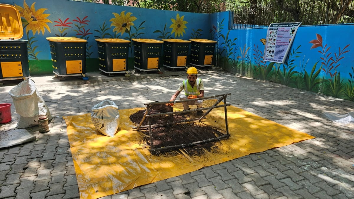 Delhi Colony Diverts 1 Million kg of Waste From Landfills