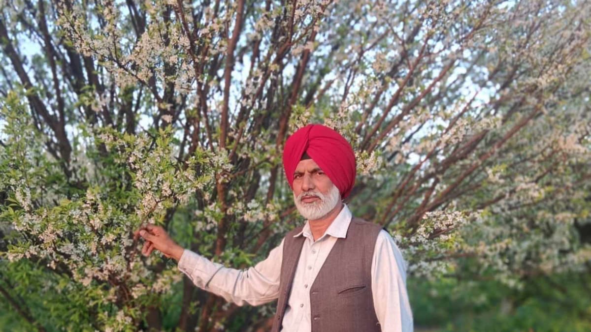 Balwinder Sandhu stands among fruit trees and diverse crops at his organic farm in Punjab