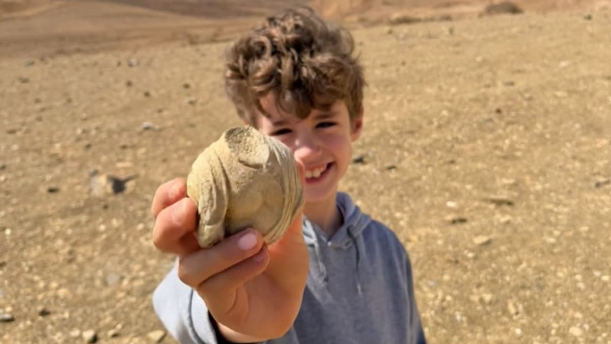 8-Year-Old Finds 1,700-Year-Old Statue in Israel Desert