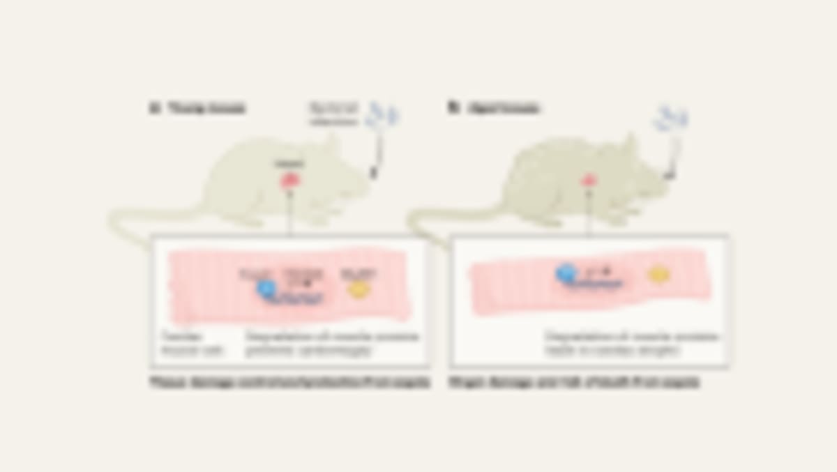 Magnetic Gel Seals Hearts, Prevents Strokes After Surgery - Image 4