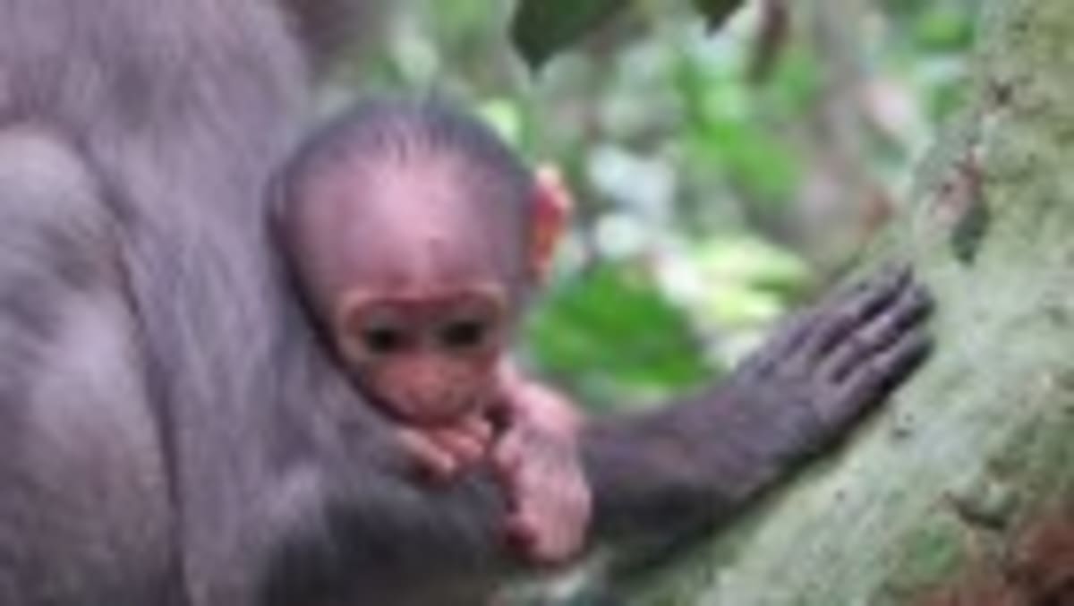 Middle-Aged Women Cut Early Death Risk 50% With Exercise - Image 3