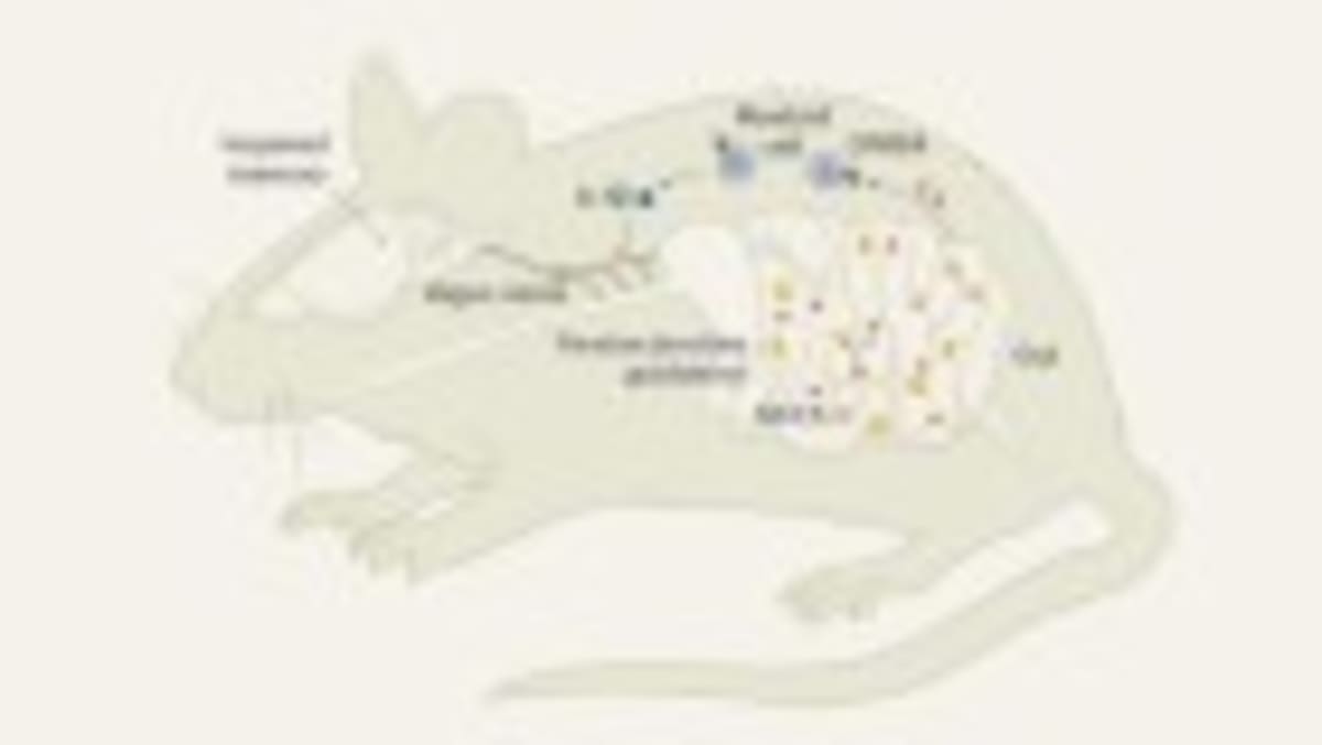 China Approves World's First Brain Chip for Paralysis - Image 5