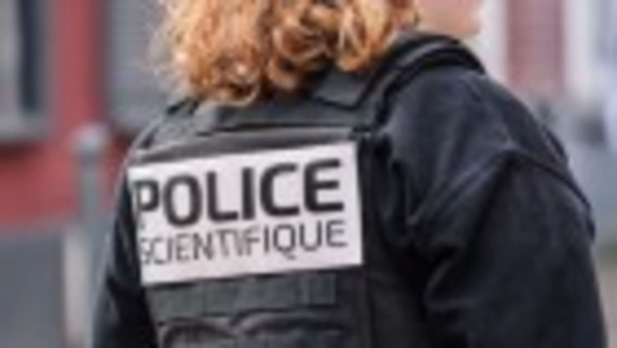 Ancient Peruvians Carried Live Parrots Over the Andes - Image 2