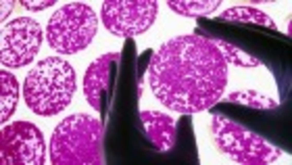 Galileo's Margin Notes Reveal His Scientific Awakening - Image 4