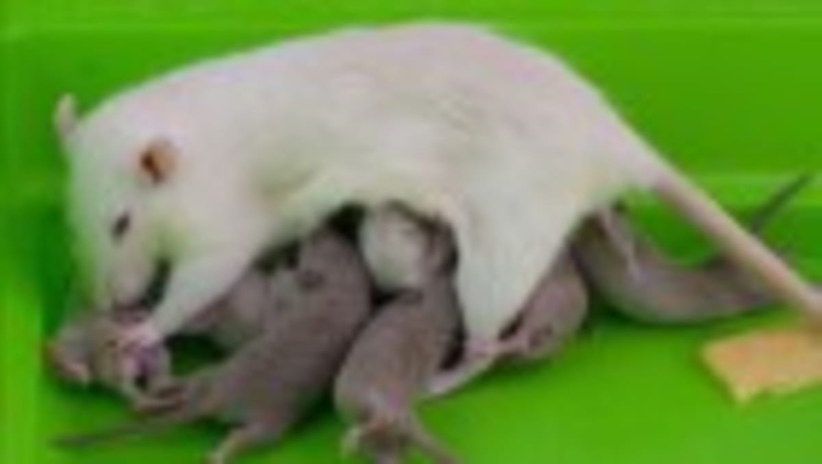 Middle-Aged Women Cut Early Death Risk 50% With Exercise - Image 2