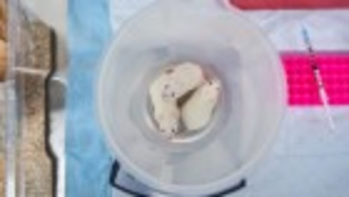 AlphaFold Database Adds 1.7M Protein Pairs to AI Library - Image 5