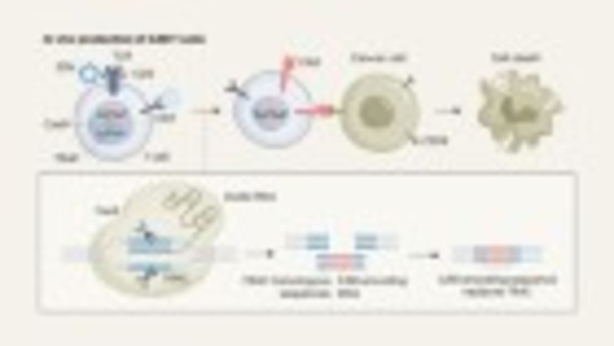 Scientists Cloak Mitochondria to Treat Deadly Disease in Mice - Image 4