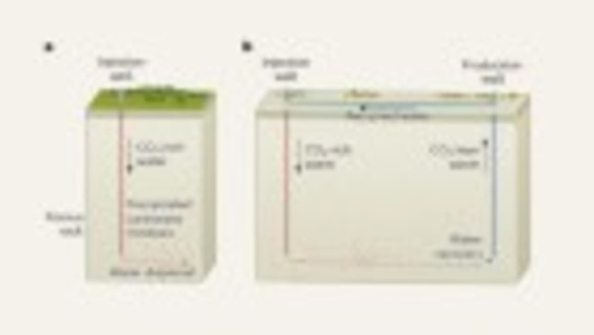 Australian River Named First Author on Academic Papers - Image 5