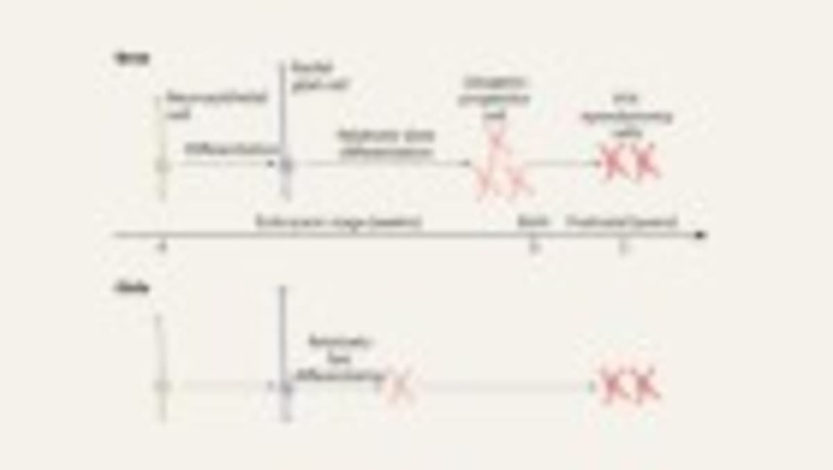 England's Lung Cancer Screening Saves Lives Early - Image 4