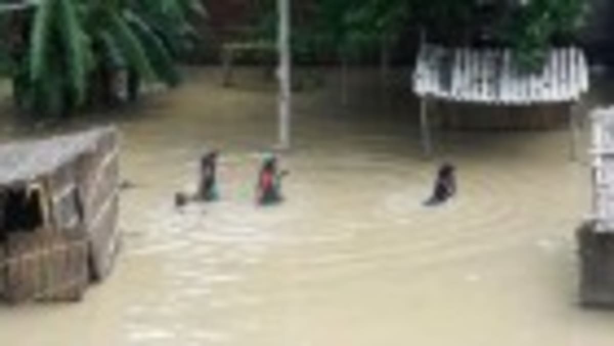 German Cities Lead New Ocean Conservation Movement - Image 3