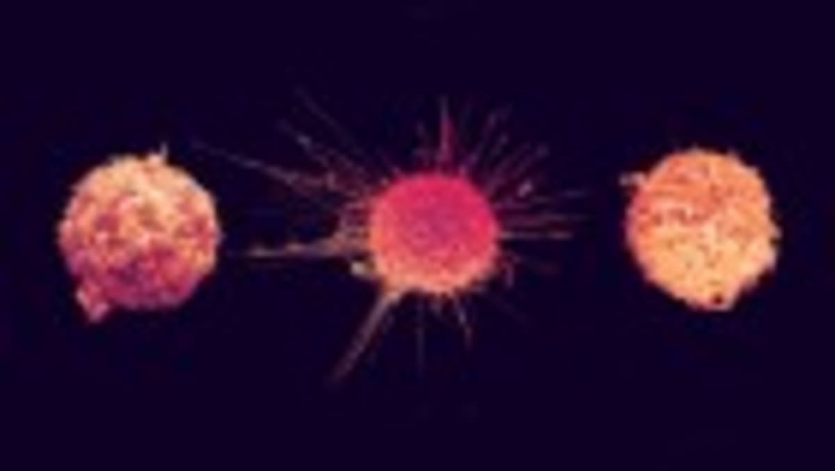 Four Cancer Researchers Shaping Tomorrow's Treatments - Image 3