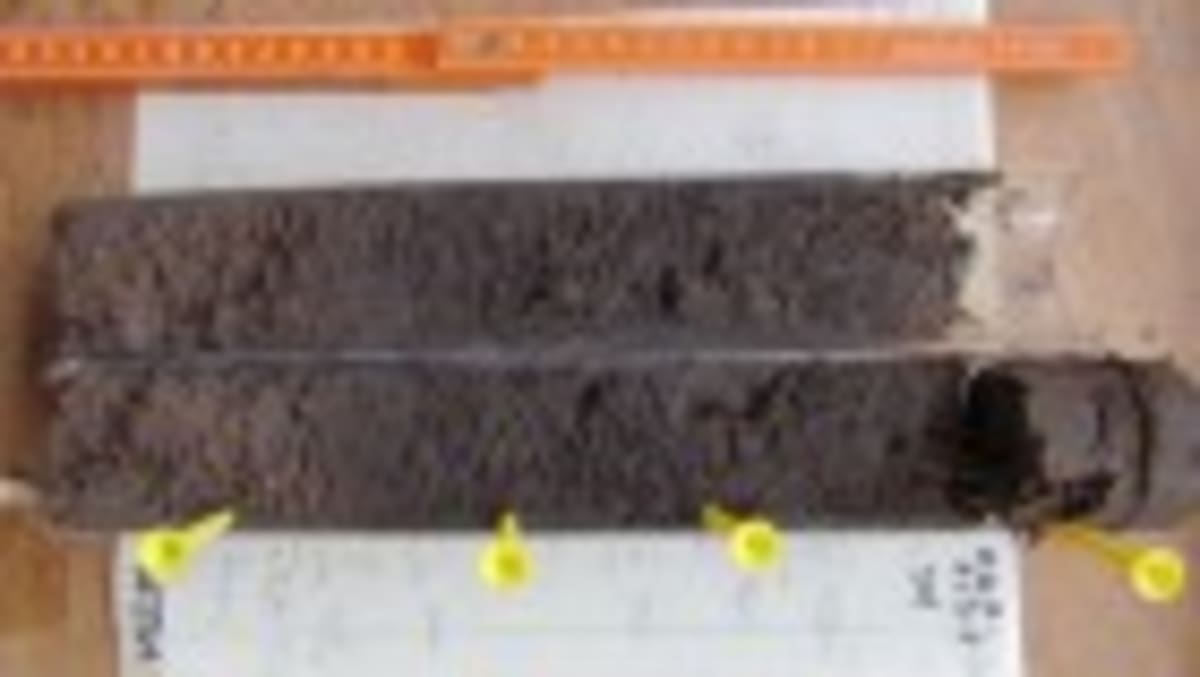 Dog Poop Leads Scientist to Revolutionary DNA Discovery - Image 3