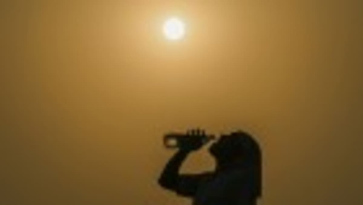 German Cities Lead New Ocean Conservation Movement