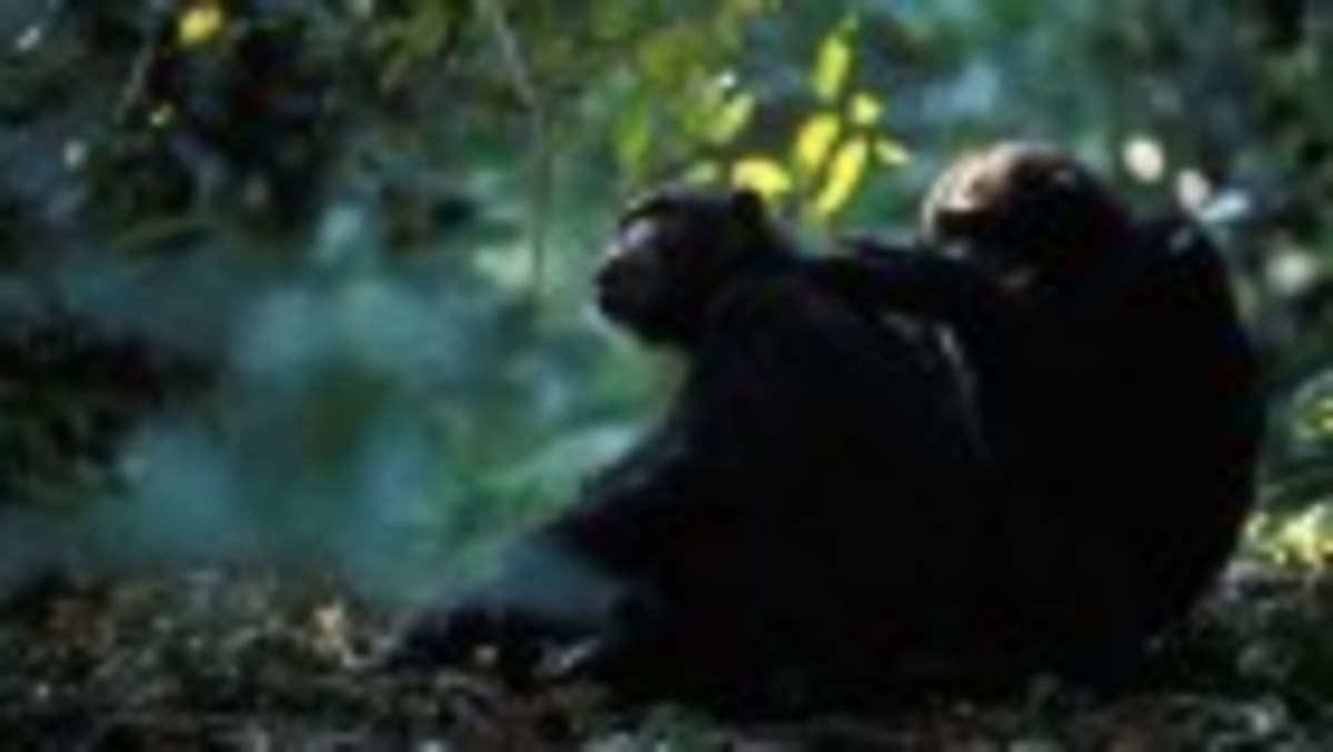 Dog Poop Leads Scientist to Revolutionary DNA Discovery - Image 5