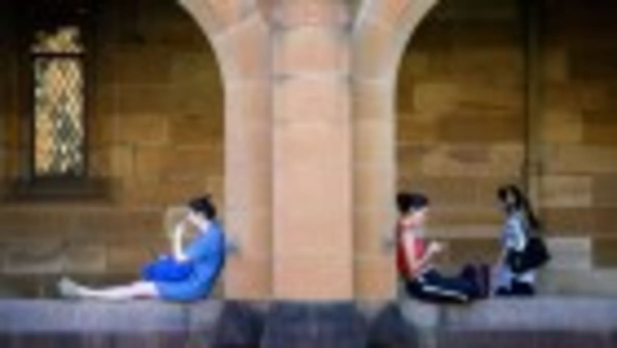 Madagascar Fisher Communities Boost Fish Stocks 189% - Image 2