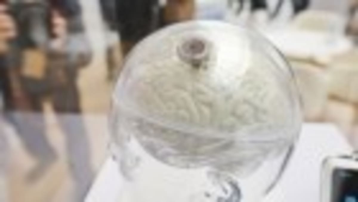 How Pokémon Shaped Brain Science Over 30 Years - Image 2