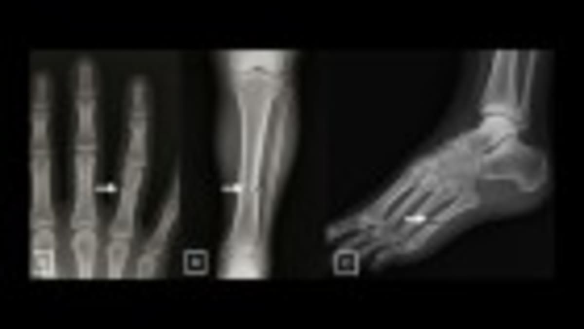 AI Fears Ease: Jobs Holding Steady Since ChatGPT Launch - Image 2