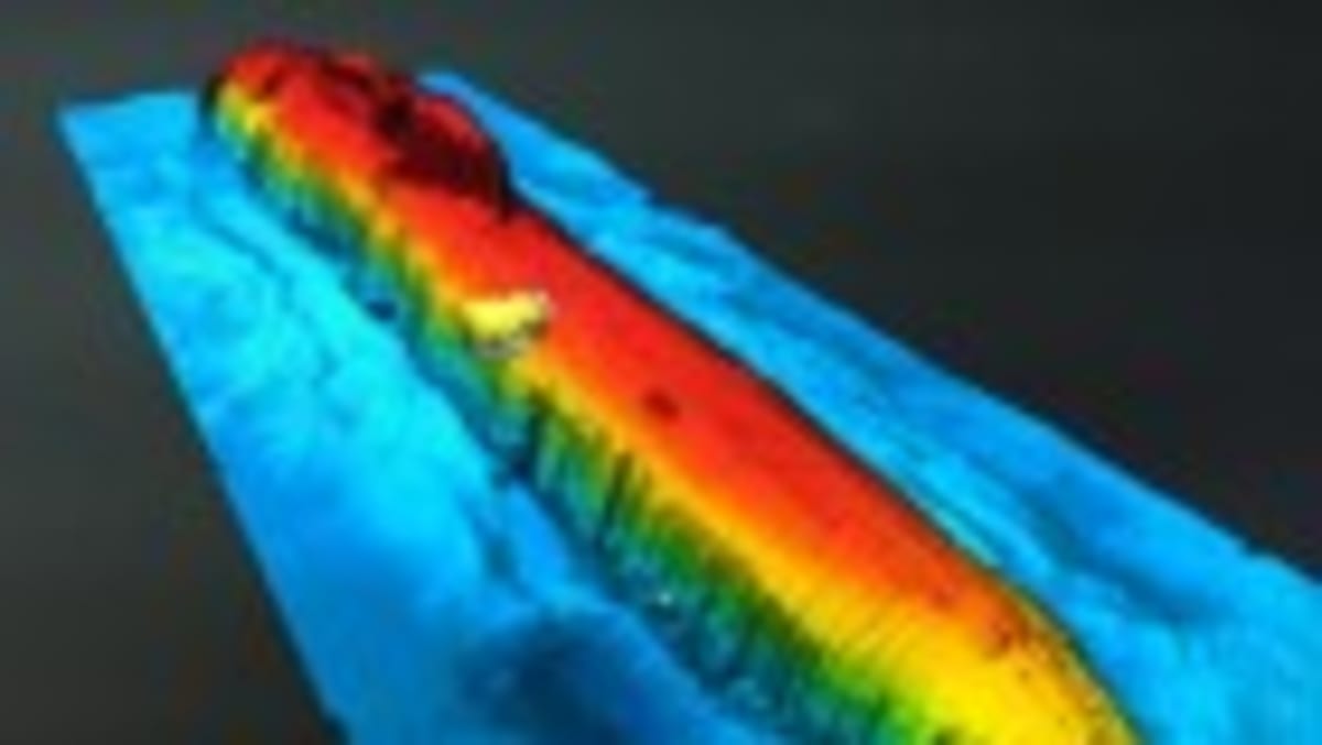 Scientists Unlock Whale Secrets Hidden in Baleen - Image 2