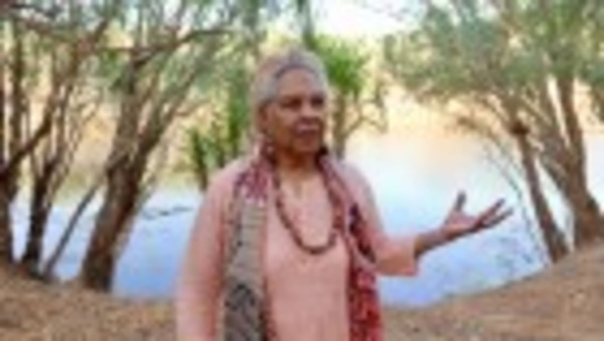 Scientists Chase Jet to Cut Aviation's Climate Impact - Image 3