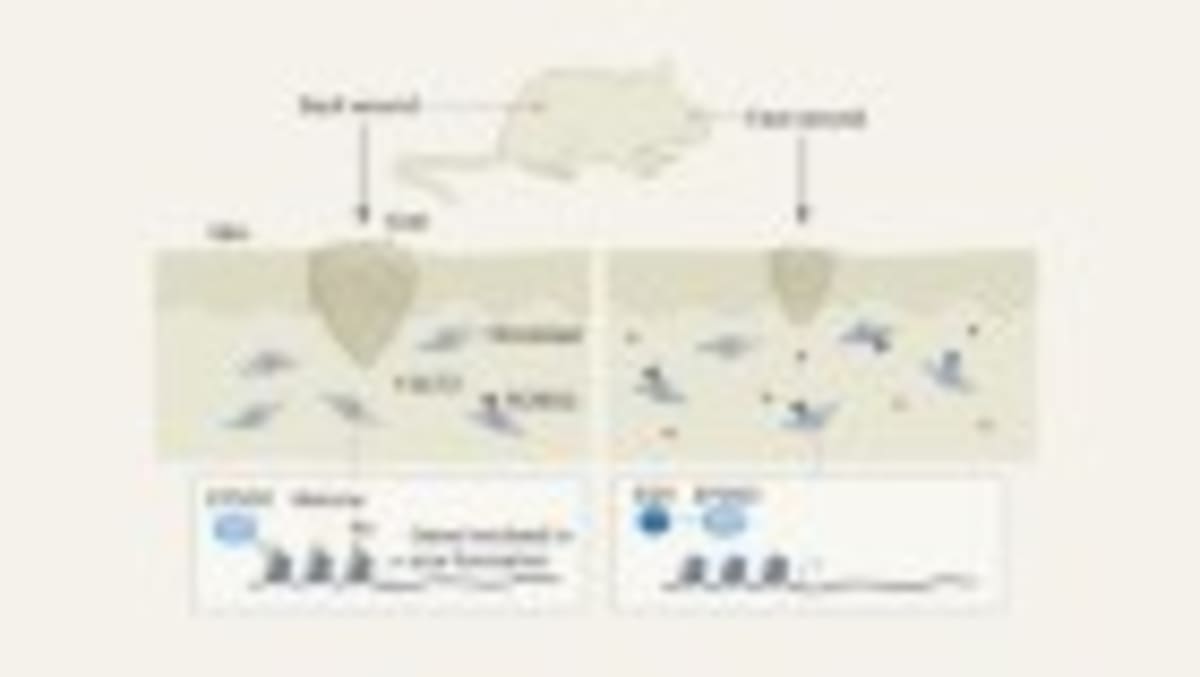 Four Cancer Researchers Shaping Tomorrow's Treatments - Image 5