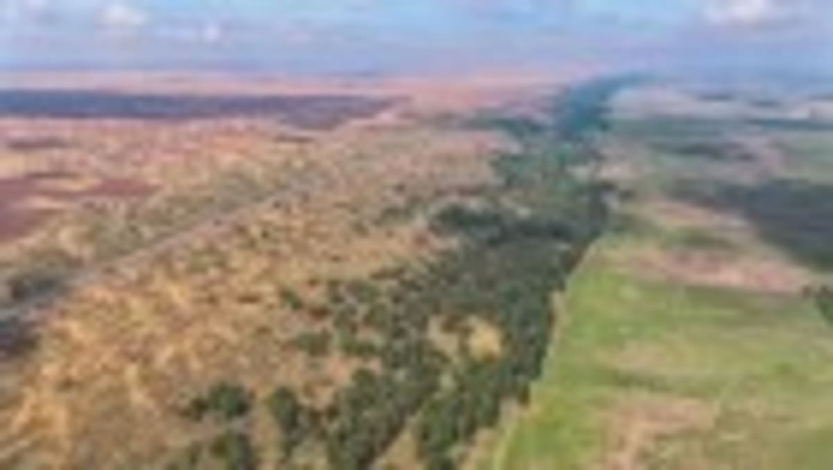 Trees and Tech Both Needed to Fight Climate Change - Image 4