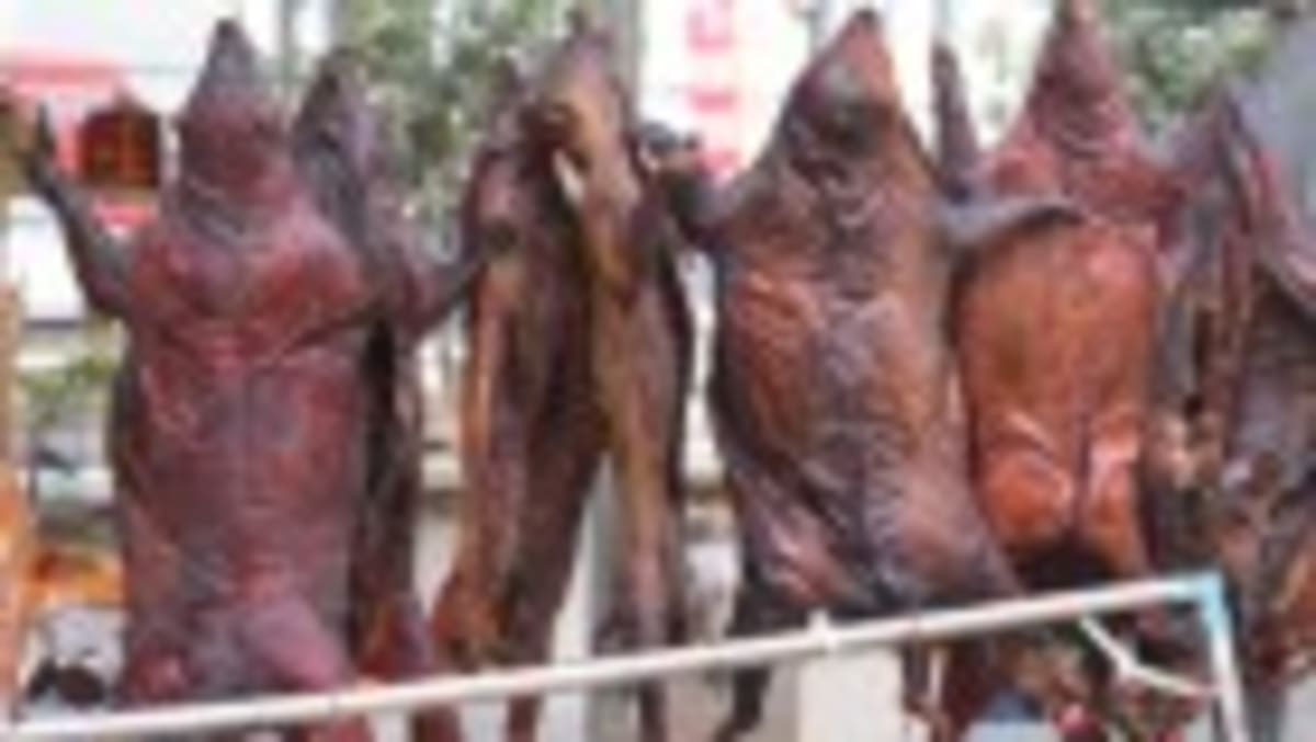 Big Ants Visit Tiny Ants for Desert Grooming Sessions - Image 4