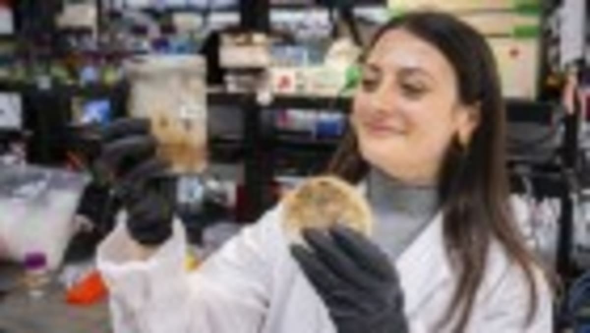 Scientists Engineer Microbes to Clean Up Earth's Pollution - Image 2