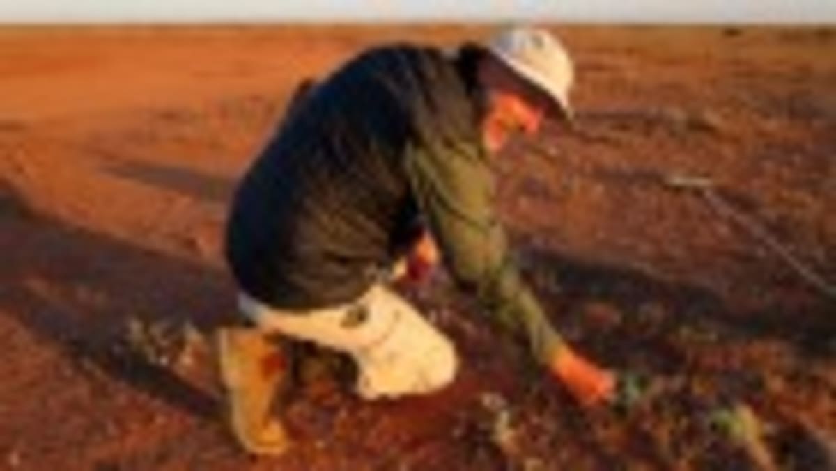 Former Pro Goalkeeper Finds Strength in Lab Setbacks - Image 5