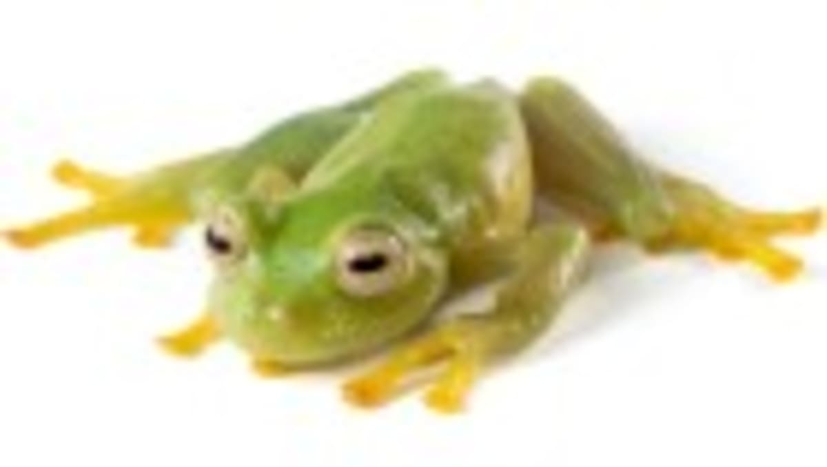 South African Lab Saves Million Specimens With Solar Power - Image 4