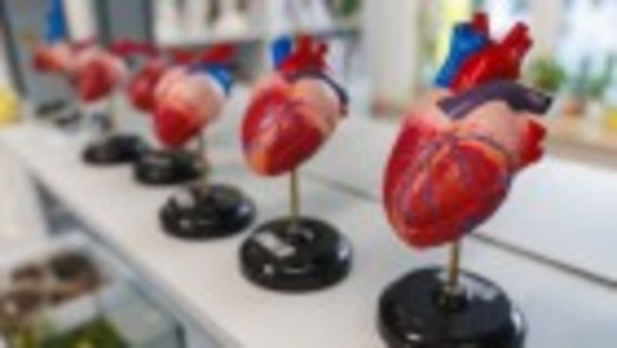 New Cancer Therapy Shows 5x Better Results in Small Trial - Image 4