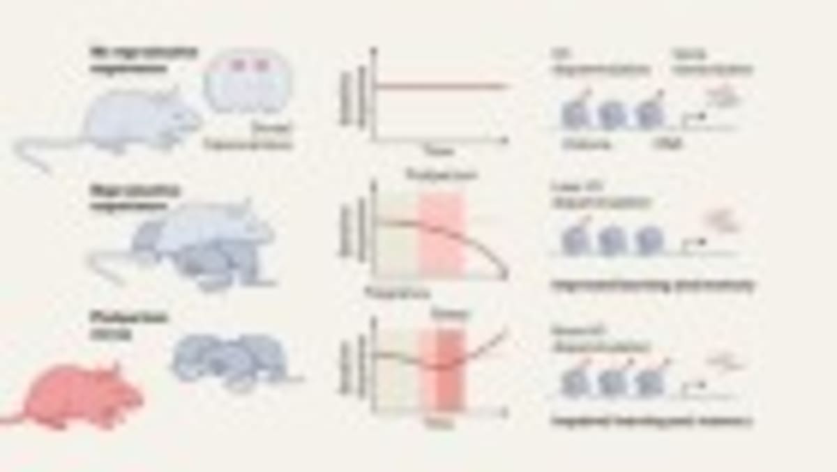 First Human Gets Cell-Rejuvenating Gene Therapy for Vision - Image 5