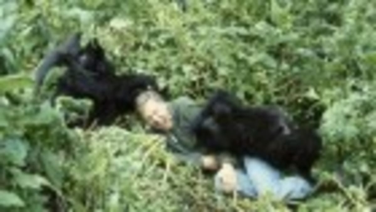 Scientists Now Track Wildlife Using DNA Floating in Air - Image 2
