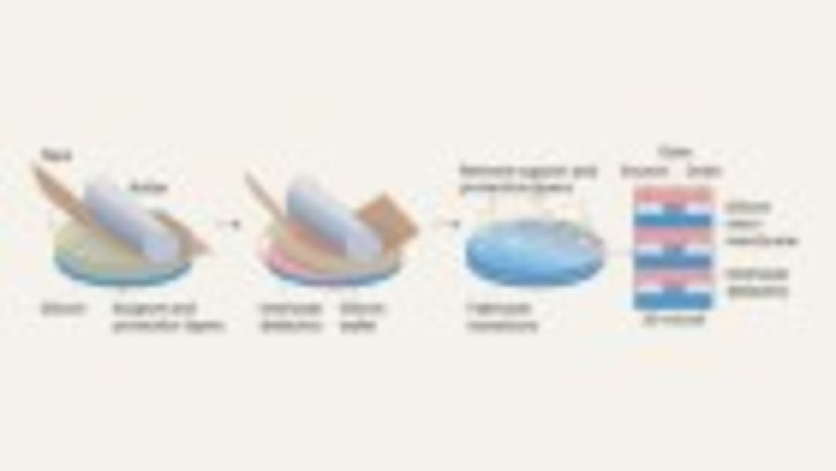 Scientists Build AI Models That Predict How Cells Work - Image 3